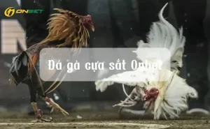 Đá ga cựa sắt